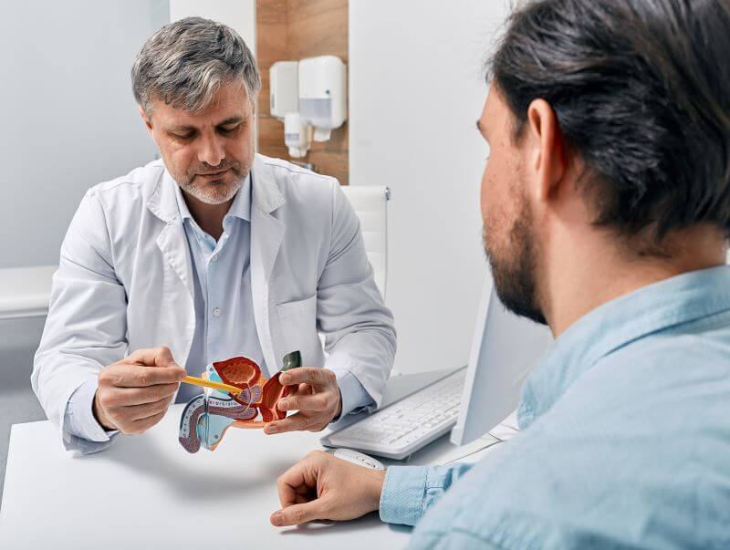  Urologist explains the male uterine track to patient